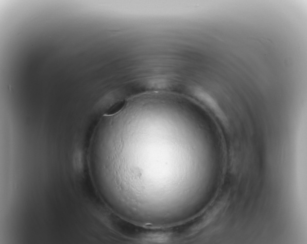 X0000089860161200707051139