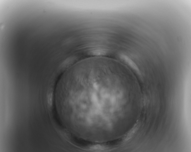 X0000089860163200707051140