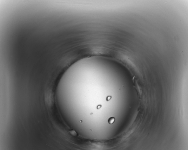 X0000089860164200707051140