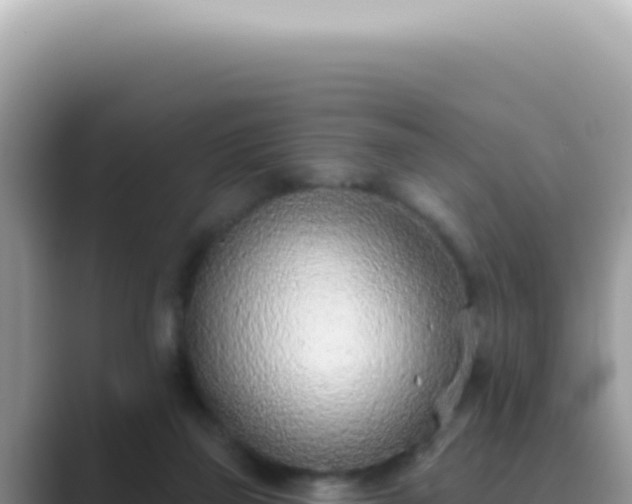 X0000089860165200707051140