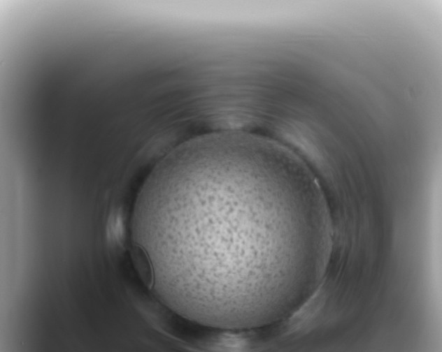 X0000089860166200707051140