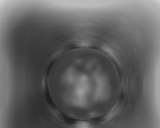 X0000089860167200707051140