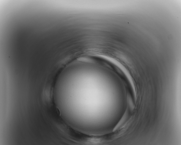 X0000089860168200707051140