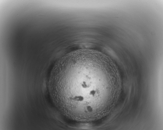 X0000089860169200707051140