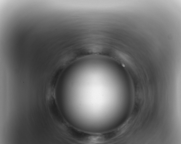 X0000089860172200707051140