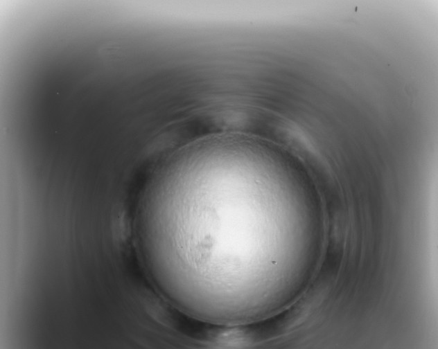 X0000089860173200707051140