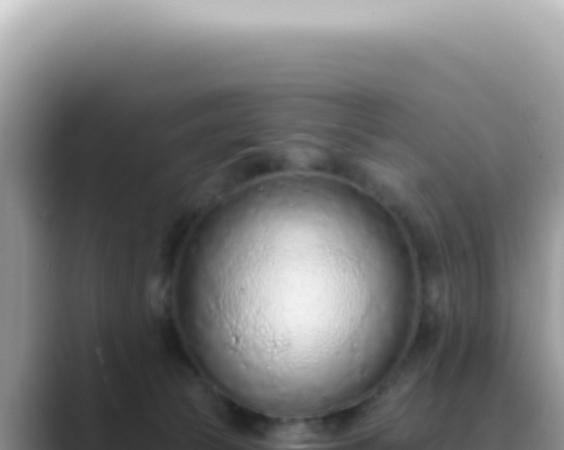 X0000089860177200707051140