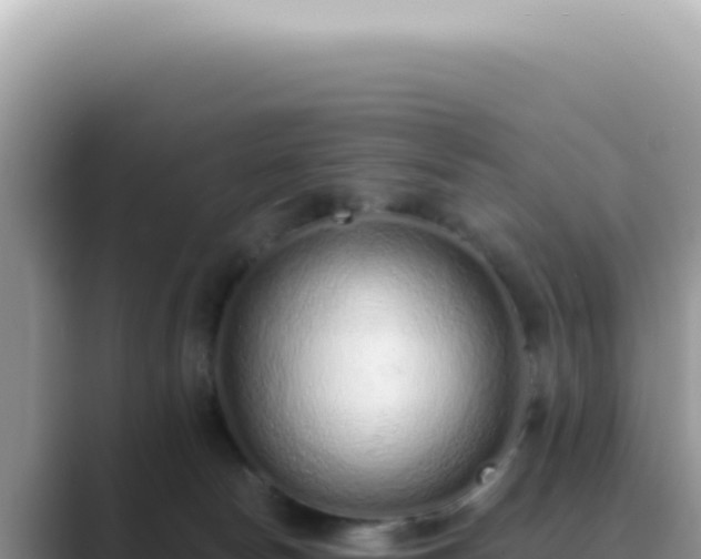 X0000089860178200707051140