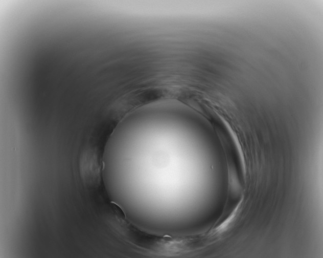 X0000089860186200707051140