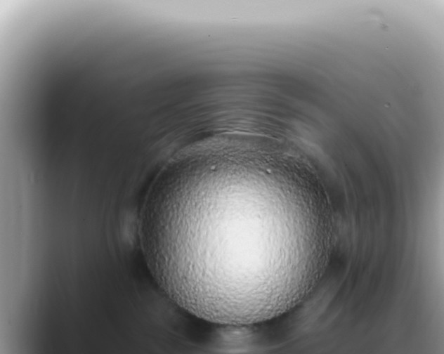 X0000089860189200707051140