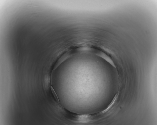 X0000089860192200707051140