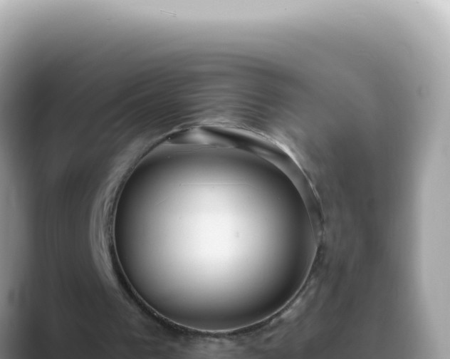 X0000089860193200707051139