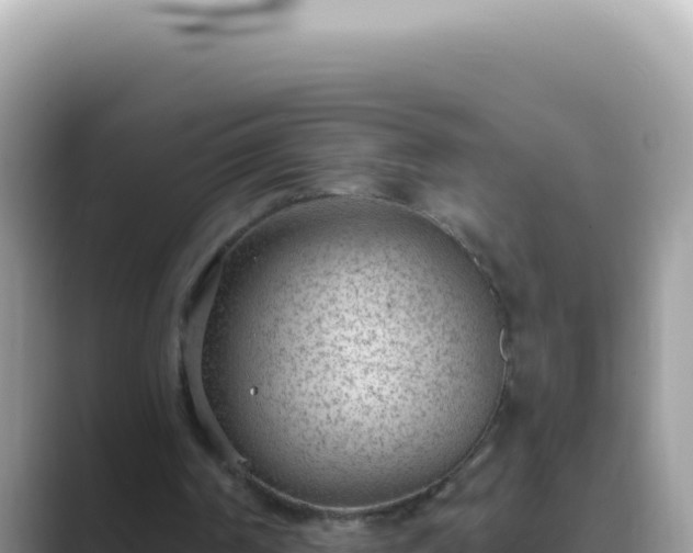 X0000089860194200707051139