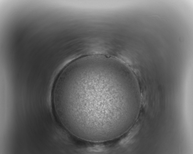 X0000089860196200707051139