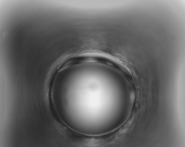 X0000089860197200707051139