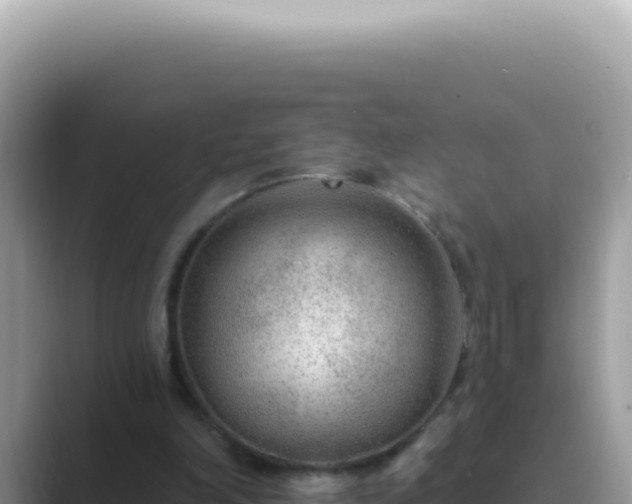 X0000089860198200707051139