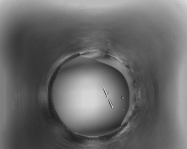 X0000089860200200707051139