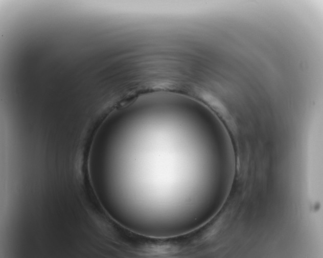 X0000089860201200707051139