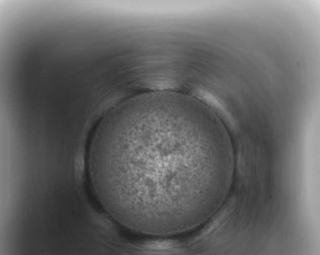 X0000089860202200707051139