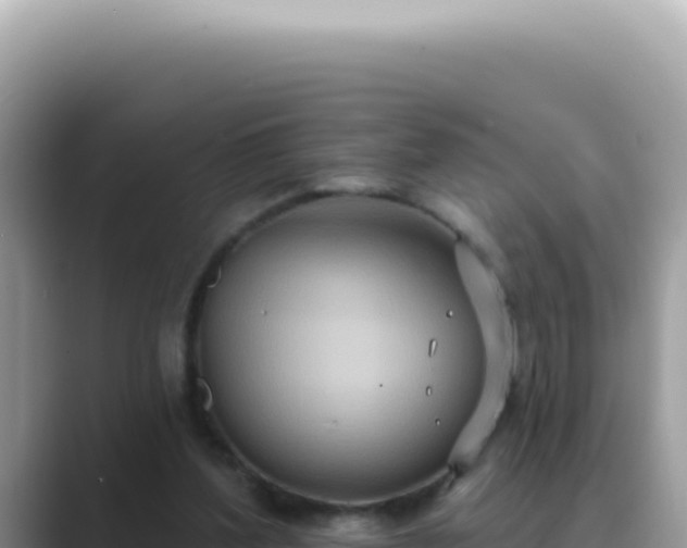 X0000089860204200707051139