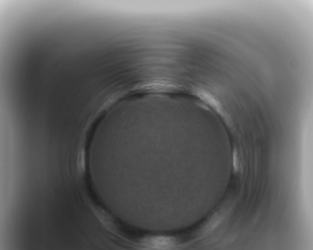 X0000089860205200707051139