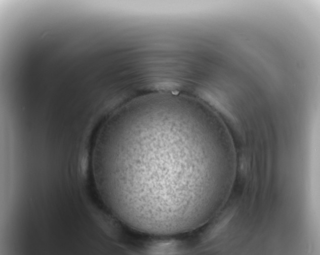 X0000089860206200707051139