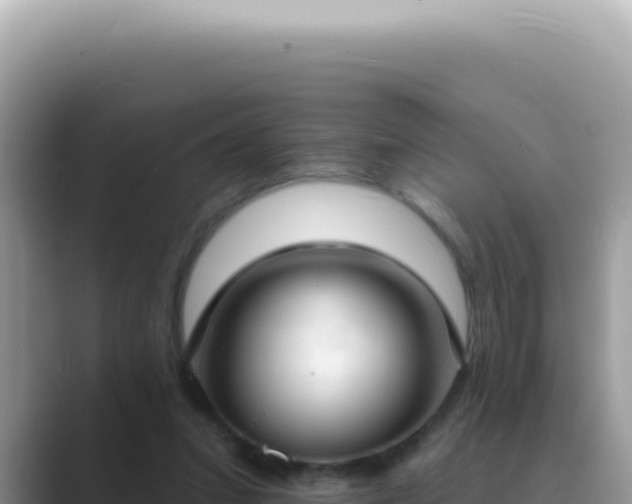 X0000089860207200707051139