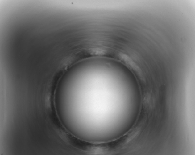 X0000089860209200707051139