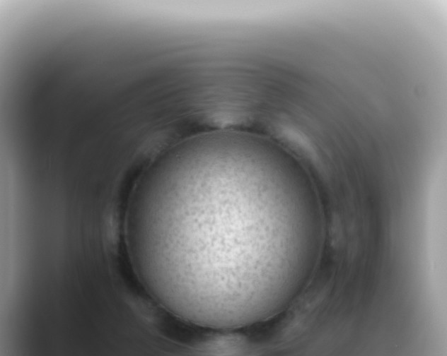 X0000089860210200707051139