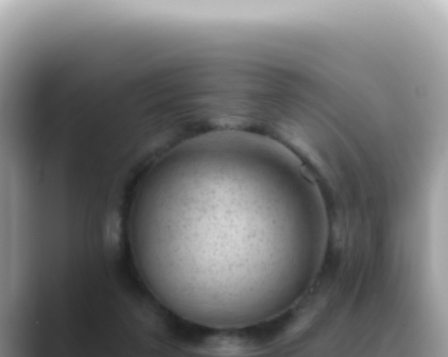 X0000089860211200707051139
