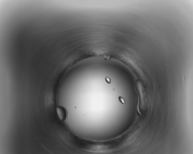 X0000089860212200707051139