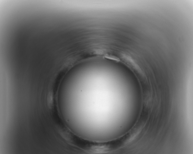 X0000089860213200707051139