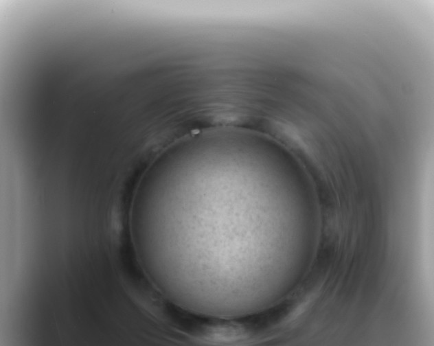 X0000089860215200707051139