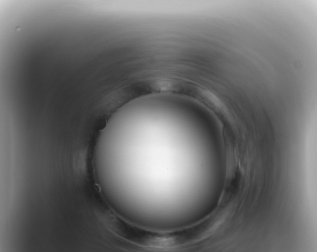 X0000089860217200707051139