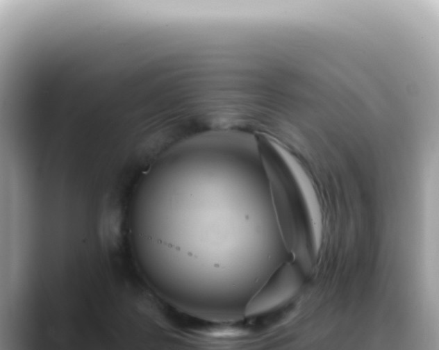 X0000089860219200707051139