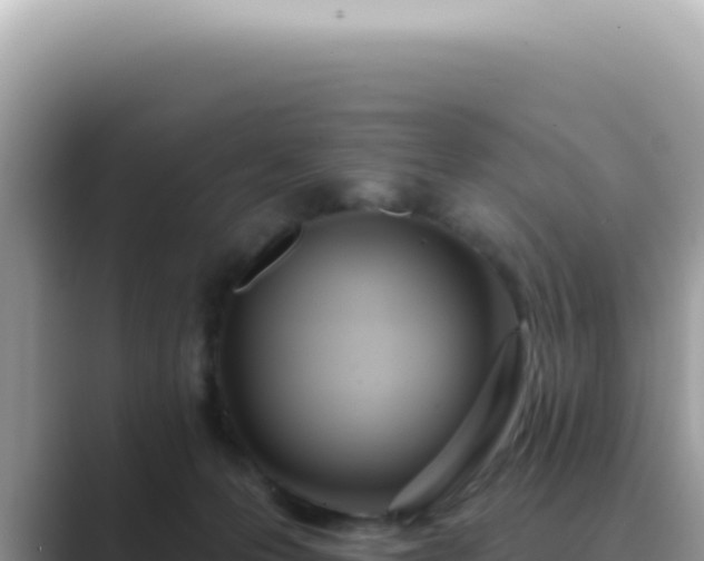 X0000089860223200707051139