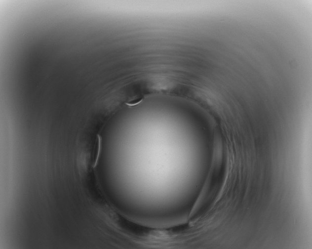 X0000089860227200707051139
