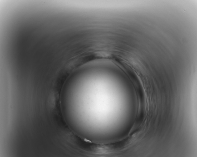 X0000089860229200707051139