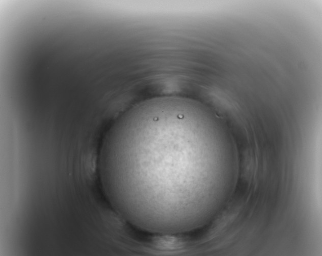 X0000089860230200707051139