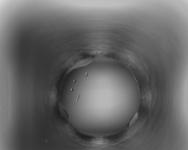 X0000089860231200707051139