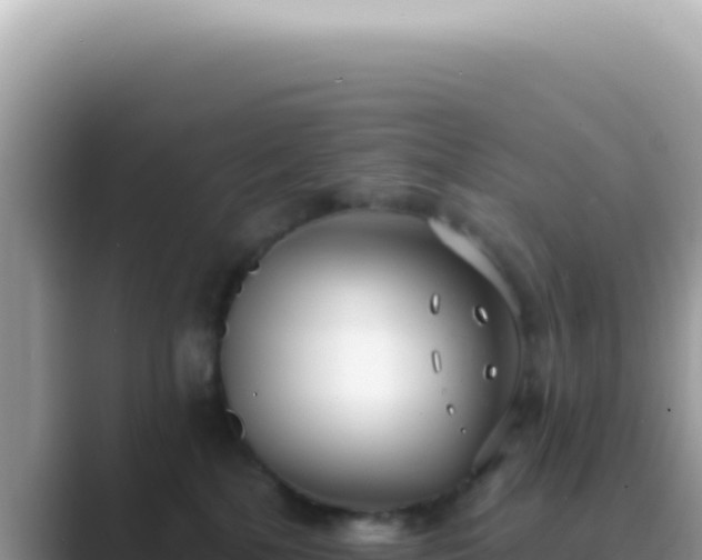 X0000089860232200707051139