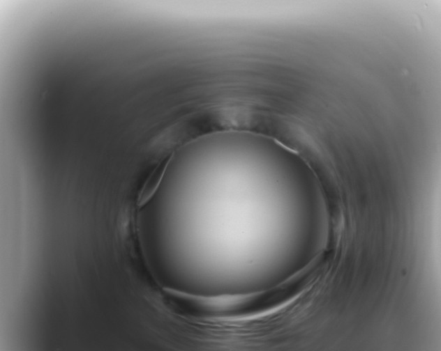 X0000089860233200707051139