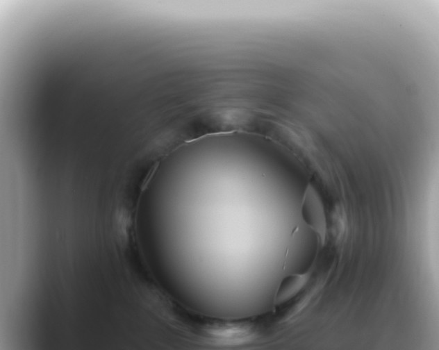 X0000089860235200707051139