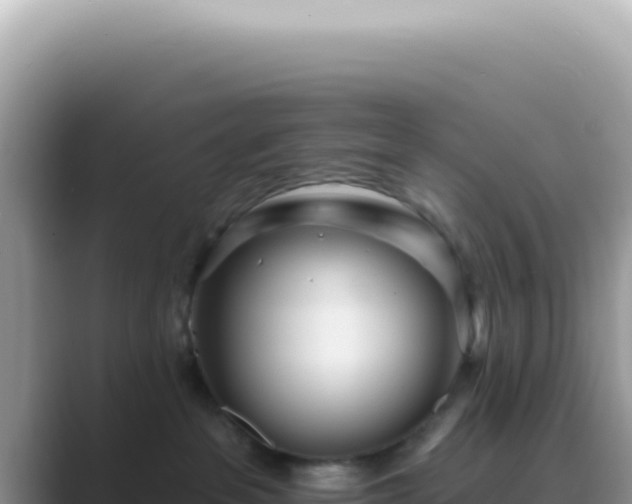 X0000089860237200707051139