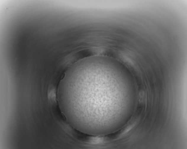 X0000089860238200707051139