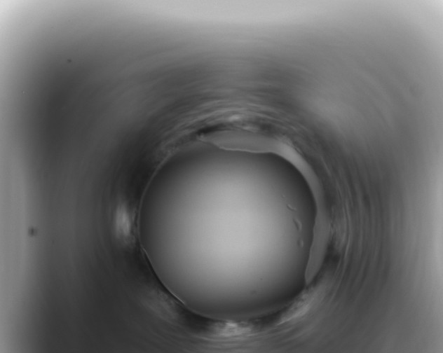 X0000089860239200707051139