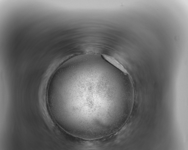 X0000089860241200707051138