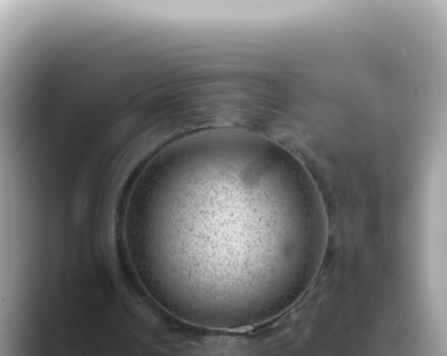 X0000089860242200707051138