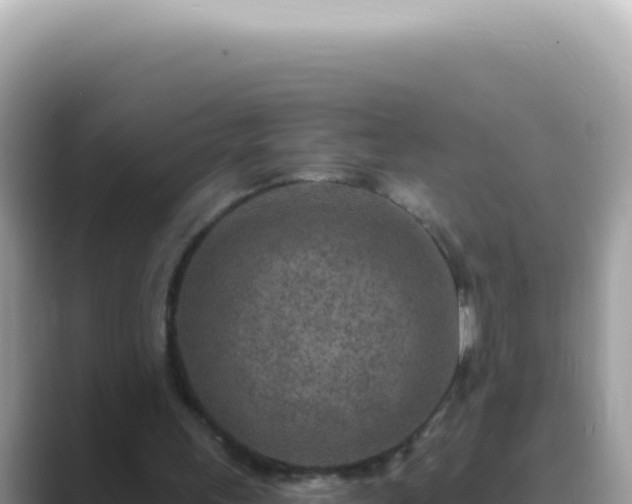 X0000089860243200707051138