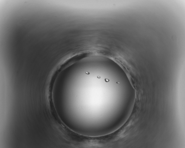 X0000089860244200707051138